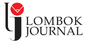 Lombok Journal