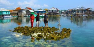 Distop Reklamasi, Penduduk Pulau Bungin Akan ‘terusir’ dari Tanah Airnya