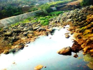 Illegal Logging di Lombok Utara, Mengeringkan Aliran Sungai