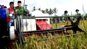 Target Produksi Padi NTB Meningkat Jadi 2,5 Juta Ton