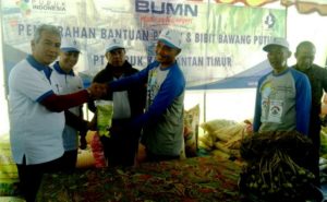 Sembalun Didorong Kembali Jaya Seperti Era 1990-an