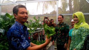 Bertani Hidroponik, Solusi Sempitnya Lahan Pertanian Kota