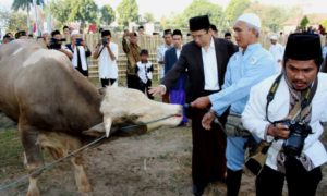 Perayaan Idhul Adha, TGB Ingatkan Penderitaan Muslim Rohingya