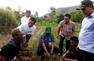 Mempercepat Korporasi Petani Di Sembalun