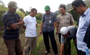 Petani Sembalun Tetap Bertahan Hadapi Gelombang Bawang Putih Impor