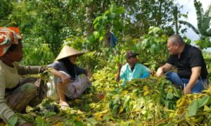 HBK : Komoditas Pertanian NTB Harus Bisa Terserap Pasar Modern