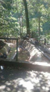 Dua Bulan Terdampak Gempa, Petani di Senaru Mulai Bangkit