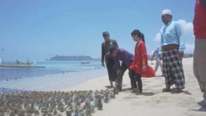 Saat Bupati Lombok Barat Berwisata Ke Batas Wilayah