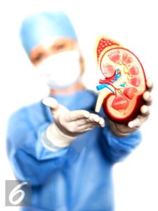 BPJS Kesehatan Jamin Cangkok Ginjal, per Pasien Mencapai Rp390 Juta