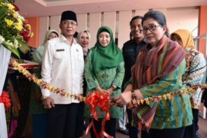 Inovasi  Pelayanan Kesehatan Di NTB Kejutan Bagi Menkes