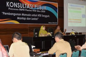 Wagub NTB Buka Forum Konsultasi RKPD 2020