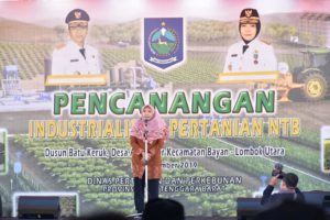 Wagub Jelaskan Terobosan Baru Teknologi Pertanian Untuk Mewujudkan NTB Gemilang