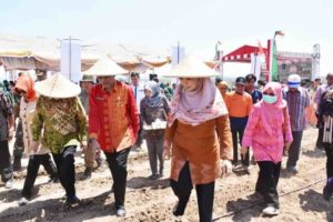 NTB GEMILANG; Pemprov NTB Bangun “Learning Center” Teknologi Water Drips Intervensi Lahan Kering