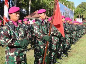 Penekanan Panglima TNI Pada Perngatan HUT TNI ke 74 Tahun 2019