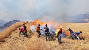Kebakaran Di Gunung Rinjani, Jalur Pendakian Ditutup