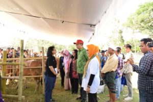 STIP Banyumulek, Didesain Jadi Pusat Edukasi, Industrialisasi Dan Rekreasi