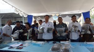 13,29 Kilogram Ganja Dimusnahkan BNN Provinsi NTB