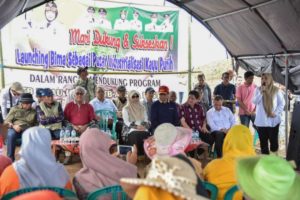 Kepedulian Pada Lahan Kritis, Gubernur Zul Tanam Kemiri dan Kayu Putih Di Parado