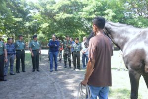 NTB Cocok Dikembangkan Jadi Sekolah Berkuda