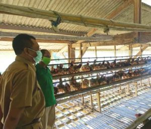 Hadiri Panen Hydroponic SMKN 1 Kuripan, Gubernur Zul Tekankan Penerapan Teknologi Pertanian