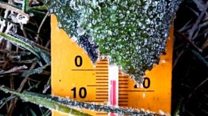 Suhu Terasa Dingin di NTB, Ini Penjelasan BMKG