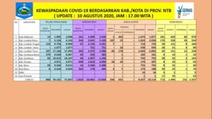 UPDATE Covid-19: Hari Senin, 10 Agutus 2020, Bertambah 22 Pasien Positif Covid-19, Pasien Sembuh 55 Orang, Kasus Kematian 3 (tiga) orang