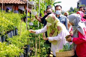 Di Masa Pandemi, Kelompok Wanita Tani Didorong Tetap Produktif