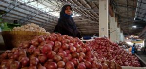 Harga Bawang Naik, Di Kisaran Harga Rp 28 ribu
