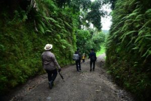 Event ‘Geotrail Mission Run 2021’, Lomba Lari Melintasi Persawahan