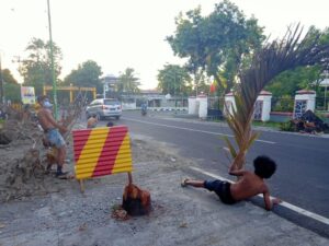 Pohon-pohon Rindang di Jalan Pendidikan Ditebang, Setelah itu Apa?