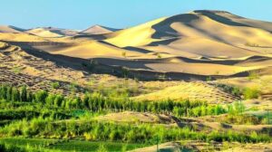 Menghijaukan 3 Gurun Pasir