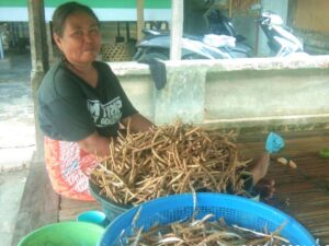Petani Gumantar Praktikkan Tanaman Tumpang Sari