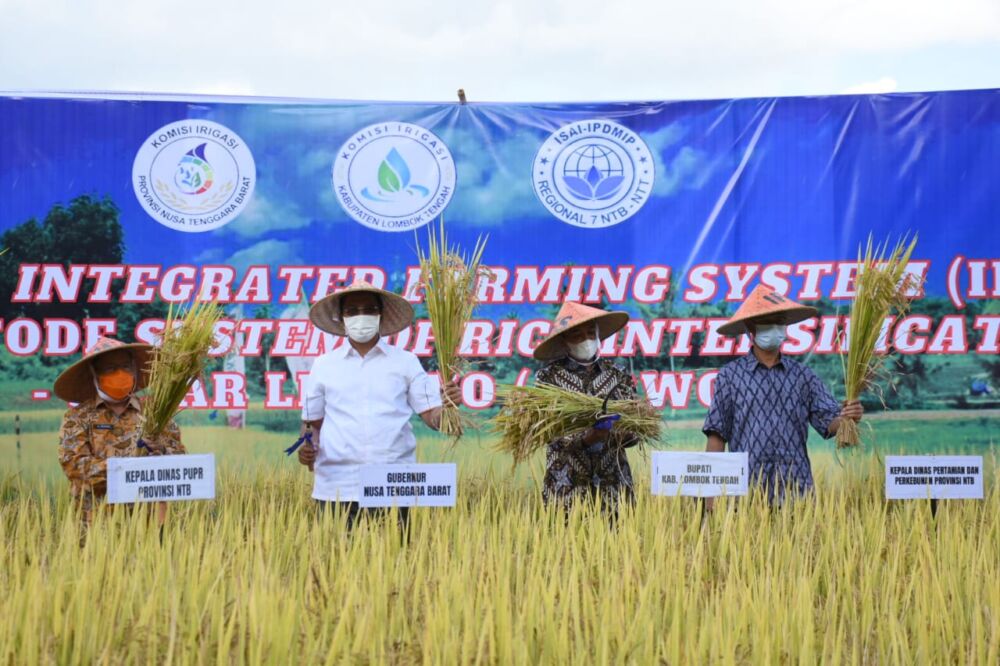 Beras Jadi Bentuk TPP PNS