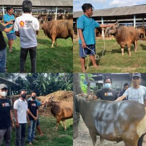Sembako dan Hewan Qurban untuk Anggota HBK PEDULI