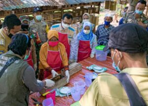 Budidaya madu trigona