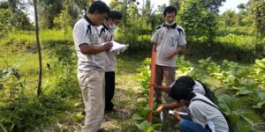 Lombok Utara Berpotensi untuk Pengembangan Tembakau