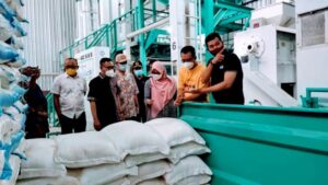 Premium 169, Beras NTB yang Diolah Cara Modern dan Industri