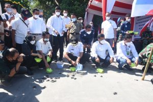 Penyu Tangkaran Dilepaskan di Pantai Nipah untuk Pelestarian