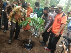 Bupati serukan penyelamatan mata air dengan menanam pohon