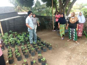 Kelompok Wanita Tani Dibina DKPP Lombok Utara