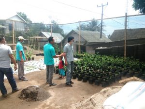 Kelompok Wanita Tani yang mengembangkan tanaman di pekarangan 
