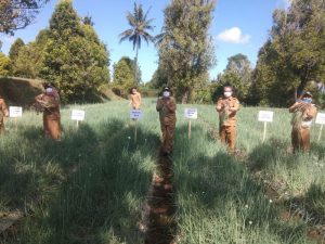Panen Bawang Merah di Santong, Bupati Beri Semangat Petani