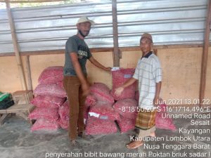 Petani bawang merah terima bantuan bibit