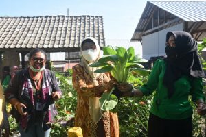 Ketua TP-PKK KLU hadir dalam lomba kebun gizi