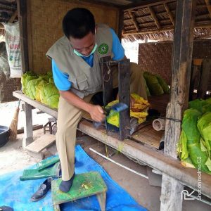 Perlu kampanye tembakau menjadi bahan dasar produk yang sehat