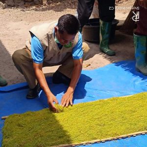 Kampanye peningkatan produksi temabakau tidak selalu untuk bahan dasar rokok