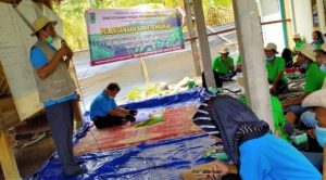 Pengolahan PHT yang Benar, Kurangi Pertumbuhan OPT  