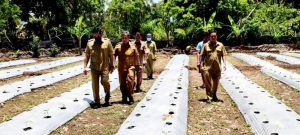 Wabup Danny menyerap aspirasi petani