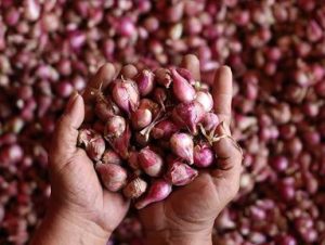 Anjlognya harga bawang merah, Gubernr kontak Menteri Perdagangan