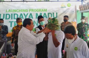 Budidaya Madu Trigona, Harapan Pemulihan Ekonomi Masyarakat